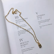 Sterling Silver Necklace Diamond Lock Net Red INS Popular Necklace Short Neck Chain